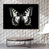 Black And White Butterfly Canvas Set - FanaticPrintz