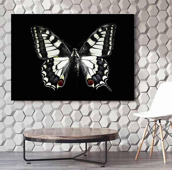 Black And White Butterfly Canvas Set - FanaticPrintz