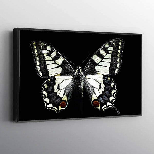Black And White Butterfly Canvas Set - FanaticPrintz
