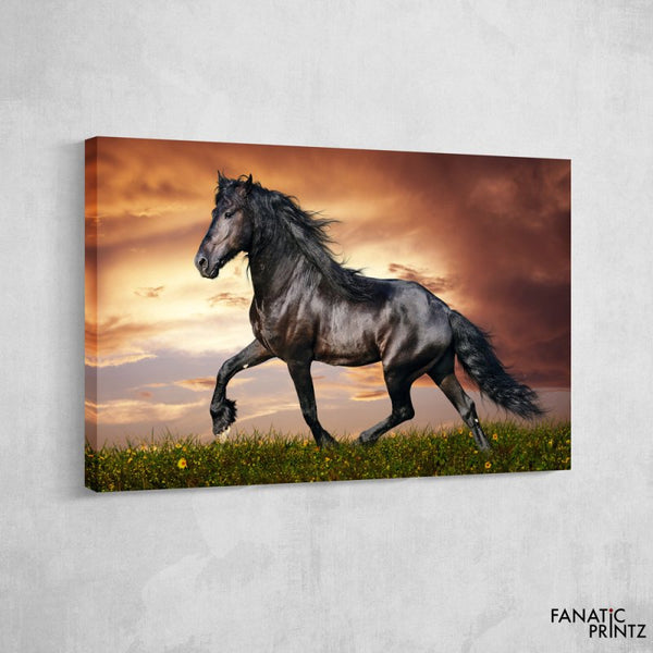 Black horse Canvas Set - FanaticPrintz