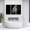 B&W LION CANVAS SET - FanaticPrintz