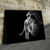 B&W LION CANVAS SET - FanaticPrintz