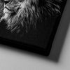 B&W LION CANVAS SET - FanaticPrintz