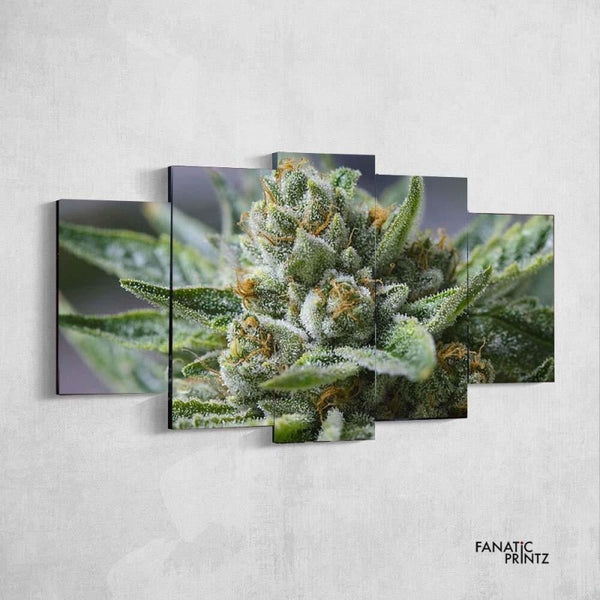 CHEESE HAZE - FanaticPrintz