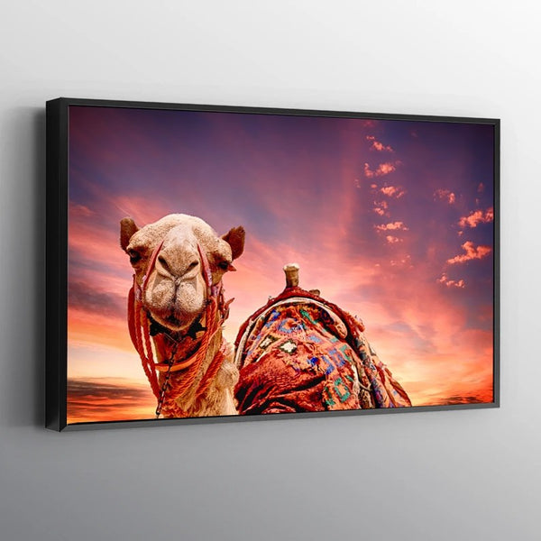 Egyptian Camel Canvas Set - FanaticPrintz