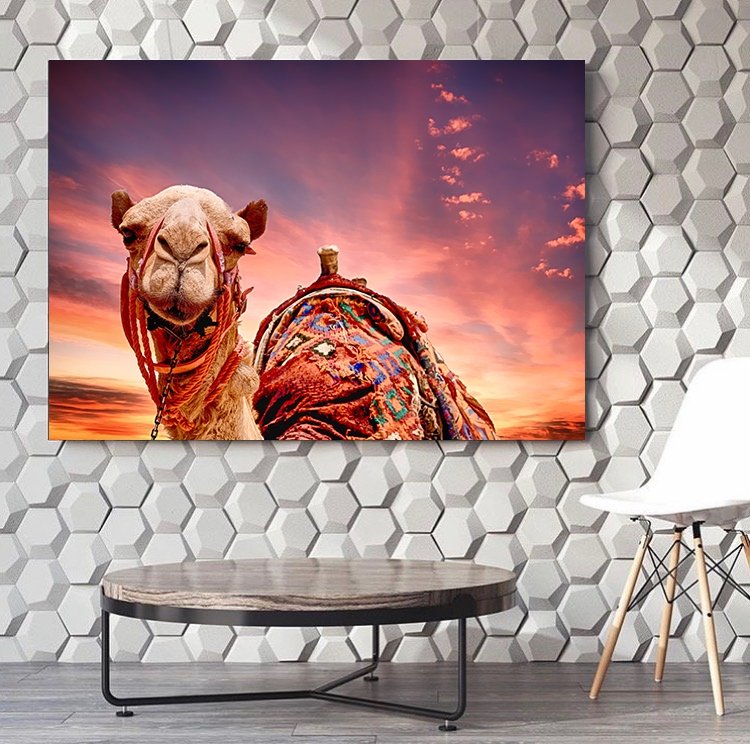 Egyptian Camel Canvas Set - FanaticPrintz