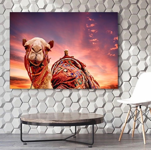 Egyptian Camel Canvas Set - FanaticPrintz