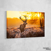 Elk Sunset Canvas Set - FanaticPrintz
