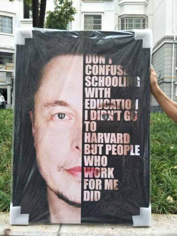 Elon Musk Quote Canvas