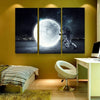 Moon Rolling Canvas Set