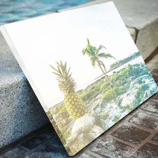 Pineapple Decor Canvas Set