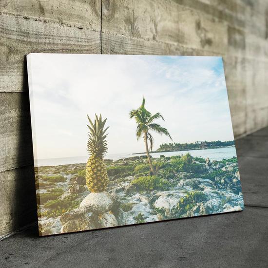 Pineapple Decor Canvas Set