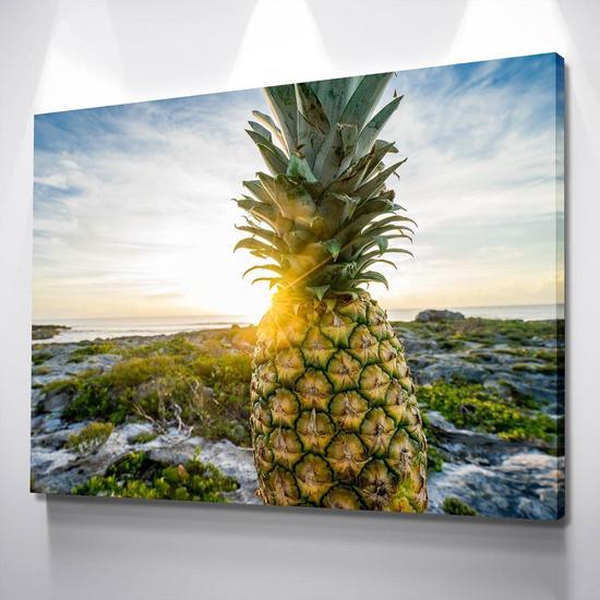 Pineapple Island Canvas Set