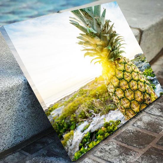 Pineapple Island Canvas Set