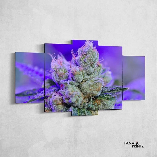 Purple Haze Canvas Set