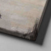 Queen Of The Dragons Canvas Set