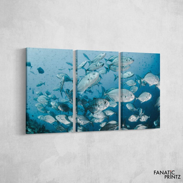 Silver Fishes under water Canvas Set - FanaticPrintz