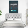 Success Swipe - Limited Edition