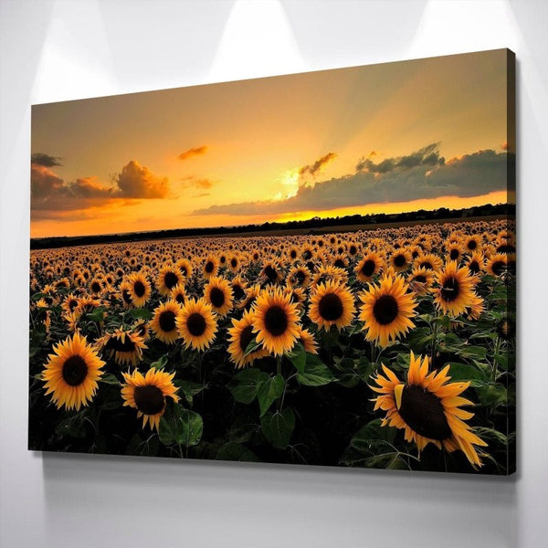 Sunflower Canvas Painting | Sunflower Canvas Wall Art | Sunflower Wall Decor Print - FanaticPrintz