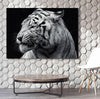 Tiger B&W Canvas Set