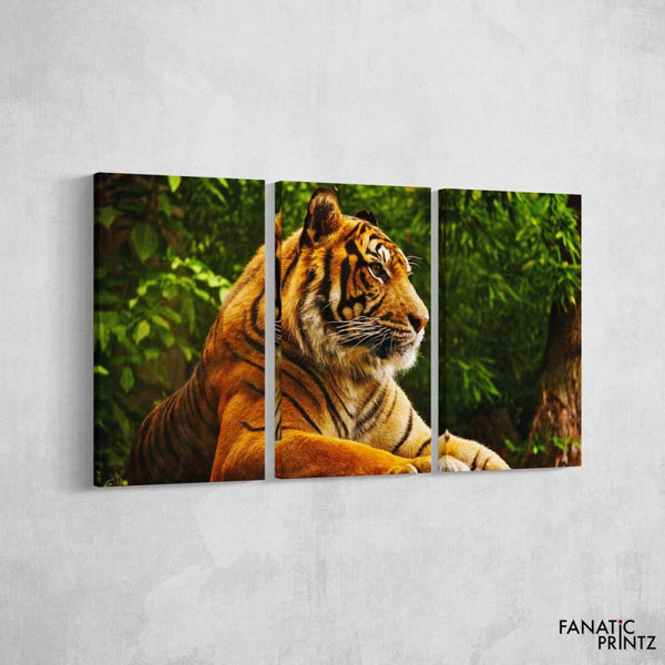 Tiger Canvas Set - FanaticPrintz