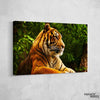 Tiger Canvas Set - FanaticPrintz