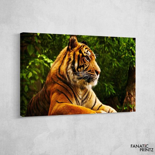 Tiger Canvas Set - FanaticPrintz
