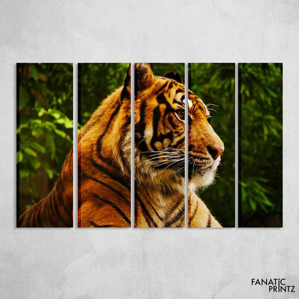 Tiger Canvas Set - FanaticPrintz
