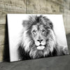 White Lion Canvas Set