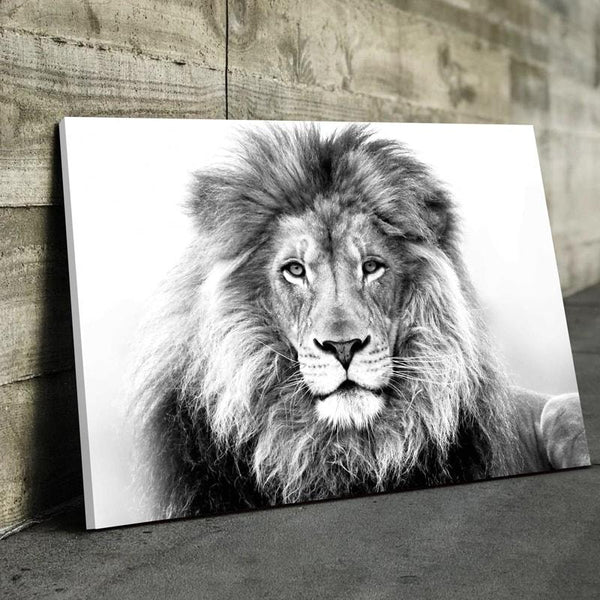 White Lion Canvas Set