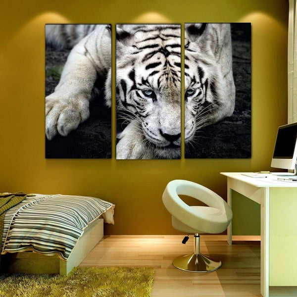 White Tiger Canvas Set